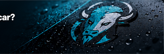 CleanBison badge on a water-protected surface